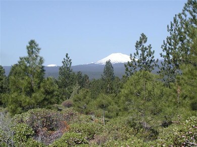 23 Shoshone Rd, Bend, OR 97702 - photo 6
