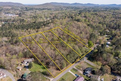 Tract 3 Old Cottonwood Mill Rd, Tunnel Hill, GA 30755 - photo 5