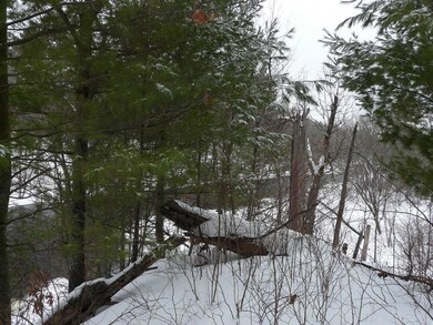 30406 Minerva Rd, Danbury, WI 54830 - photo 3