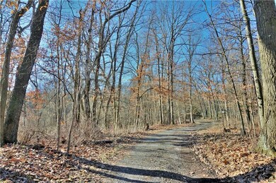 Driveway that the Twp would prefer a buyer to shar