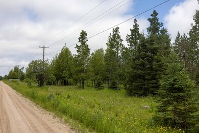 0 Brawley Rd, Newton Township, MI 49838 - photo 6