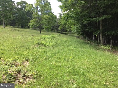 7624 Snowy Mountain Rd, Circleville, WV 26804 - photo 6