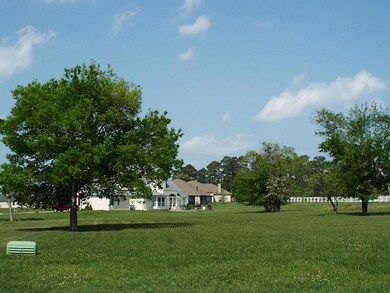 A view of your lot. Love this big tree providing a little shade on a hot day.