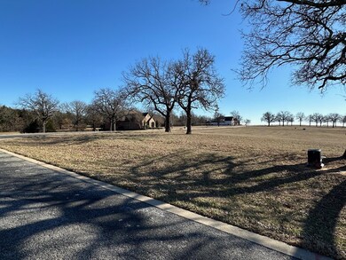 39C Pronghorn Dr, Gordonville, TX 76245 - photo 3