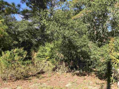 410 SE Avenue A, Carrabelle, FL 32322 - photo 2