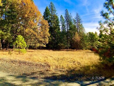 unlisted-address, Hayfork, CA 96041 - photo 6