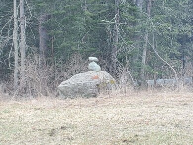 56 Nelson Rd, Monroe, NH 03771 - photo 5