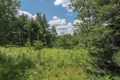 Off U S 45 unit 2, Three Lakes, WI 54562 - photo 4