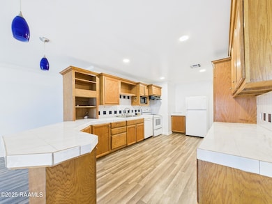 2437 Peach Bloom Hwy, Church Point, LA 70525 - photo 7