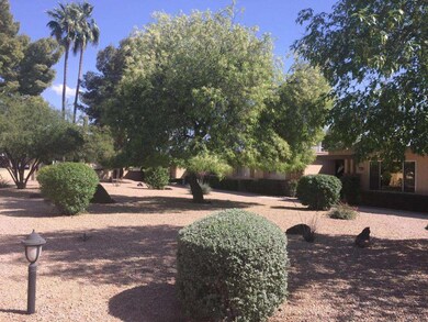 13830 N 109th Ave, Sun City, AZ 85351 - photo 3