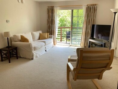 163 Hildred Dr, Burlington, VT 05401 - photo 6