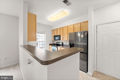 22655 Blue Elder Terrace unit 304, Ashburn, VA 20148 - photo 7