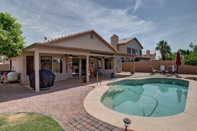 Backyard Oasis