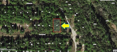 1902 Falkner St, Inverness, FL 34453 - photo 2