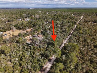 0 NE 233rd Ln unit 25700426, Fort Mc Coy, FL 32134 - photo 7