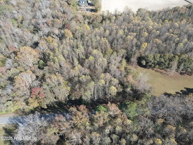 Lot 1 Alton Phillips Rd, Kinston, NC 28504 - photo 2