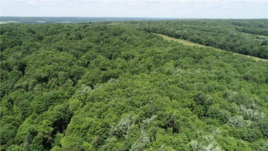 0 Agnew Rd, Conneautville, PA 16406 - photo 2