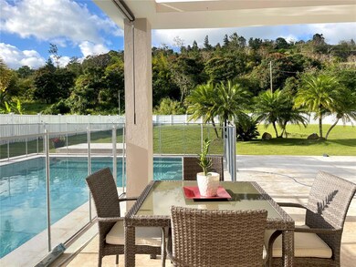 0 Terra Del Valle unit 31, Cayey, PR 00736 - photo 2