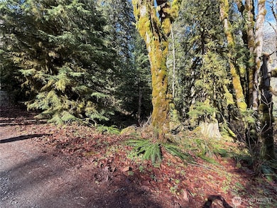 0 High Ridge Dr unit NWM2348116, Marblemount, WA 98267 - photo 5