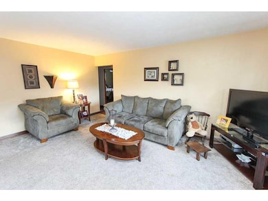 Living Room. Light & bright with new carpeting