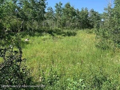 2699 Grackle Rd unit Lot 95, Craig, CO 81625 - photo 2