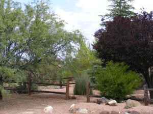 Pathways meander to the Front door