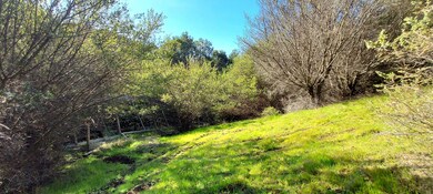 Grassy Slope