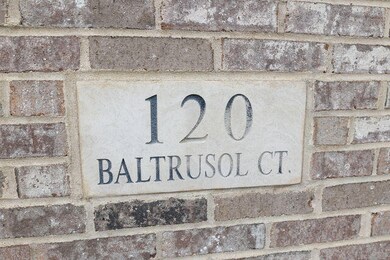 120 Baltrusol Ct, Frankfort, KY 40601 - photo 4