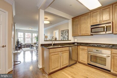 Dominion Heights unit 207, Arlington, VA 22207 - photo 2