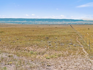 Tbd County Road 115 Lot unit WP001, Rye, CO 81069 - photo 4