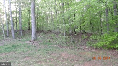 6307 White Oak Ln, Jeffersonton, VA 22724 - photo 7