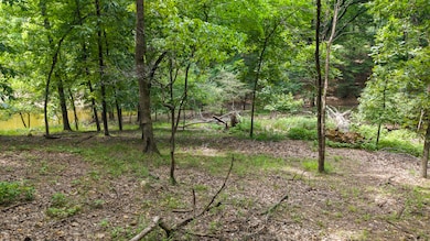 TBD Pheasant Cir, Cleora, OK 74331 - photo 3