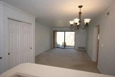 Main Floor