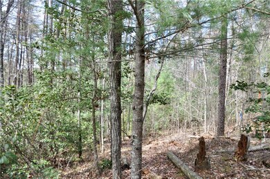 View of mother earth's splendor