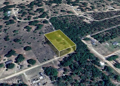 347 Chesser Monroe Rd, Hawthorne, FL 32640 - photo 5