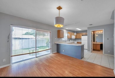 13059 Thoroughbred Loop, Largo, FL 33773 - photo 6