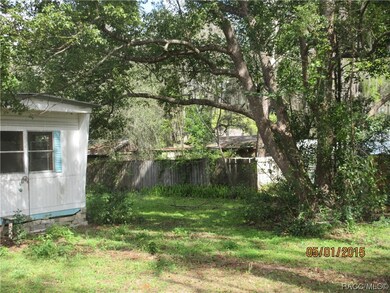 back yard