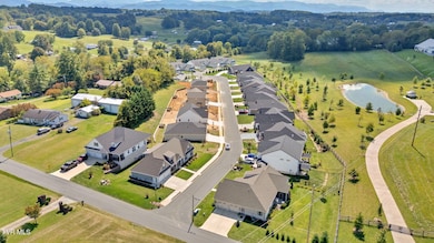 357 Wilson Knob View, Jonesborough, TN 37659 - photo 4