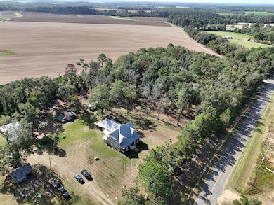 2156 County Road 78, Dixie, GA 31629 - photo 3