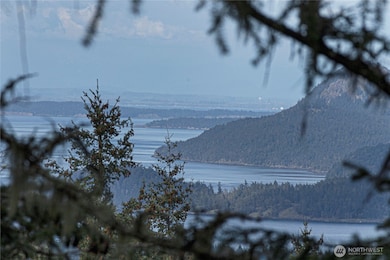 0 Cady Mountain Rd unit NWM2359002, San Juan Island, WA 98250 - photo 3