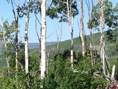 25889 Highway 65, Cedaredge, CO 81413 - photo 5