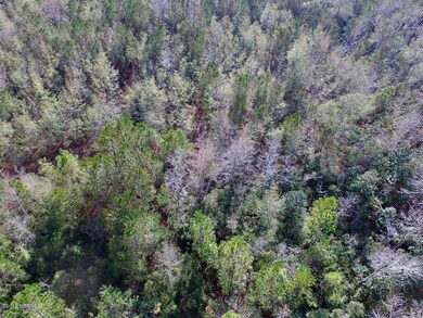 DJI_0185