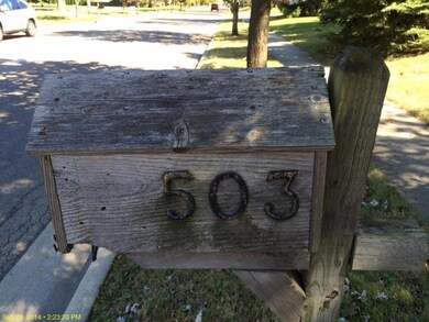 photo 1 (16)