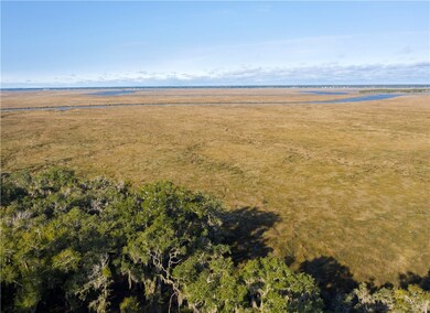 55 Hatton Ln, Saint Simons Island, GA 31522 - photo 3