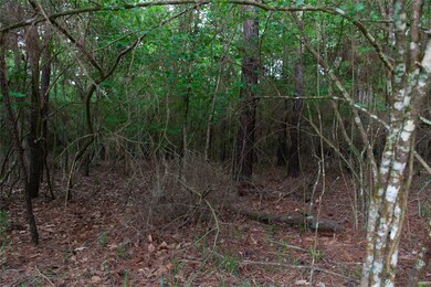 9203 Deer Lodge Rd, Magnolia, TX 77354 - photo 4