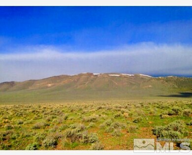 01001039 N Izzenhood Basin Rd, Battle Mountain, NV 89820 - photo 4