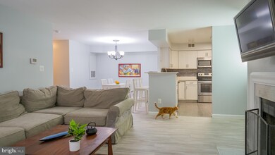 11713D Karbon Hill Ct unit 707A, Reston, VA 20191 - photo 7