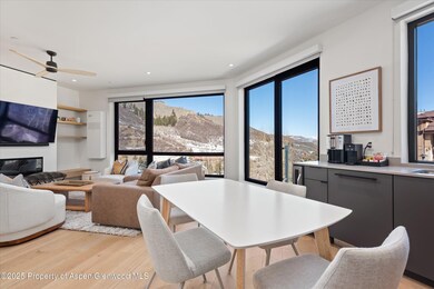 119 Wood Rd unit 206, Snowmass Village, CO 81615 - photo 3