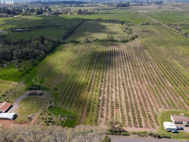 34974 Richardson Gap Rd, Lebanon, OR 97355 - photo 7