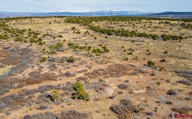 11204 Colorado 141, Egnar, CO 81325 - photo 4